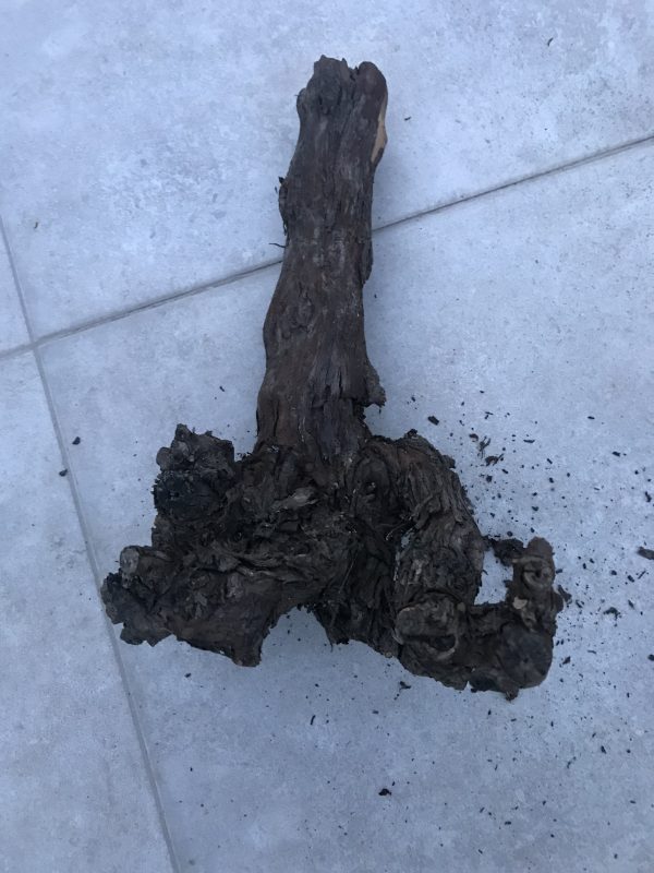 ÖZMEN AILESINE HEDIYEMIZDIR ASMA AGACINDAN